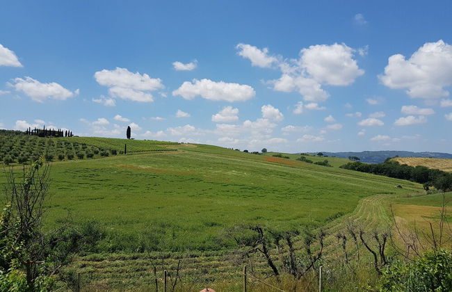 Agriturismo Bio 4 Stagioni - Foto 44