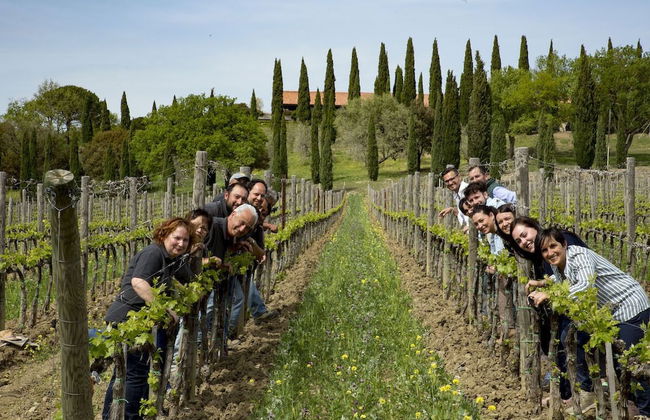 Agriturismo Bio 4 Stagioni - Foto 51