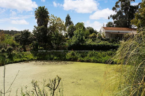 Photo 31 - Country Farmhouse in Montemor-o-novo With Swimming Pool