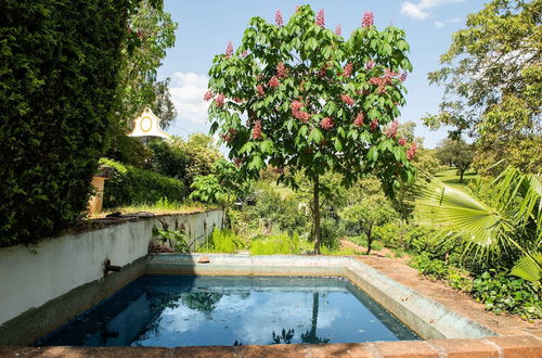 Foto 21 - Country Farmhouse in Montemor-o-novo With Pool