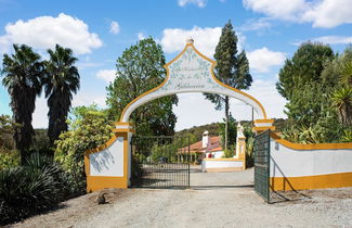 Photo 3 - Country Mansion in Montemor-o-novo Alentejo