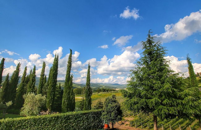 Chianti Hillside Farmhouse - Foto 37