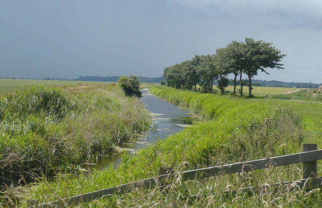 Lodge in Appledore Near Camber Sands Beach - Foto 17