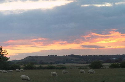 Photo 12 - Lodge in Countryside With Fine Views