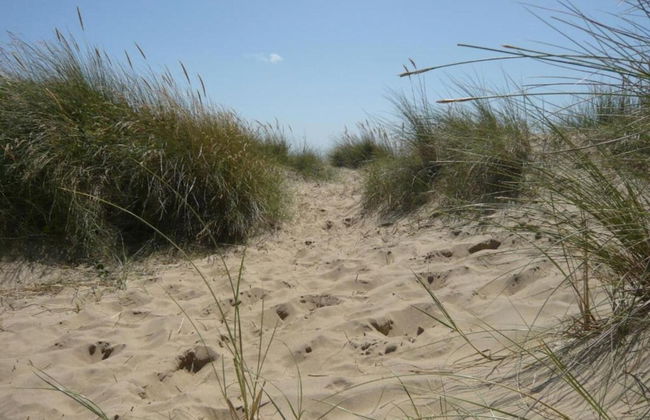 Lodge in Appledore Near Camber Sands Beach - Foto 16