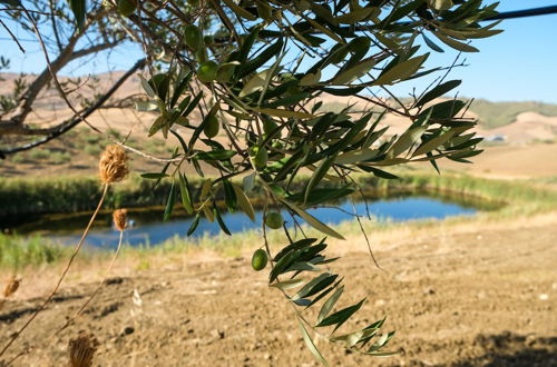 Photo 38 - Agriturismo Casalicchio