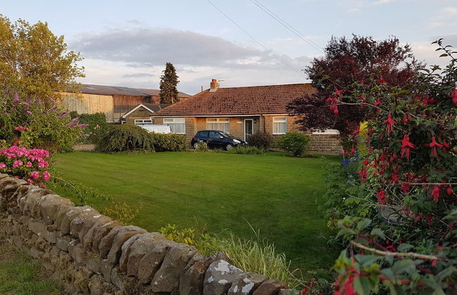 Woodpeckers Cottage - Foto 21
