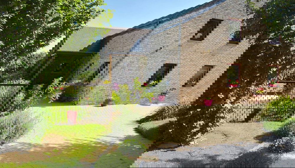 Primary image