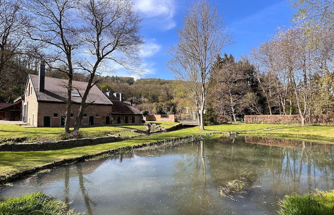 Mansion With Pool, Neblon - Foto 28