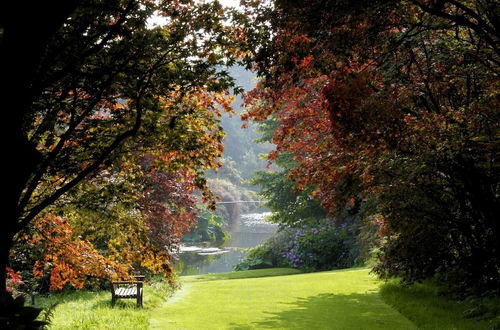 Photo 12 - Woodstock Demesne Holiday Homes