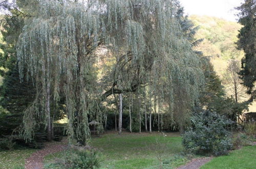 Photo 16 - Family Holiday Home With Beautiful Garden Beside the Ourthe and the Ravel