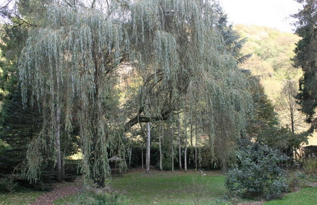 Home in Comblain-au-pont - Foto 15