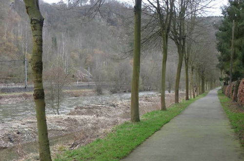 Photo 22 - Family Holiday Home With Beautiful Garden Beside the Ourthe and the Ravel