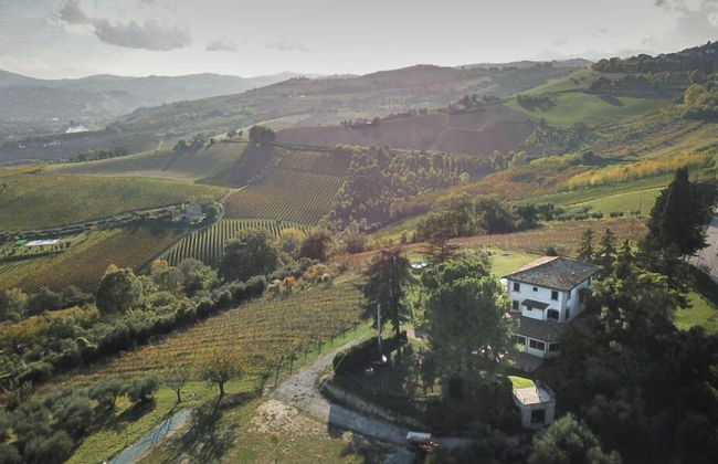 Glamping at an Agriturismo in the Vineyard - Foto 27