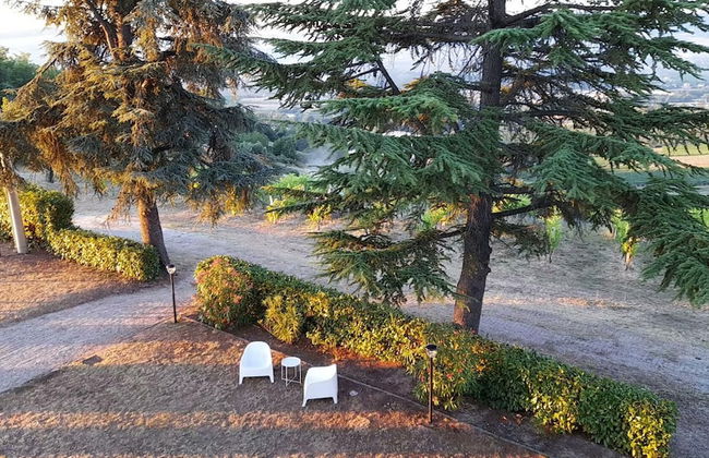 Glamping at an Agriturismo in the Vineyard - Foto 25