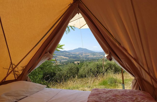 Glamping at an Agriturismo in the Vineyard - Foto 3
