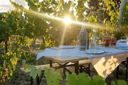 Photo 21 - Glamping at an Agriturismo in the Vineyard