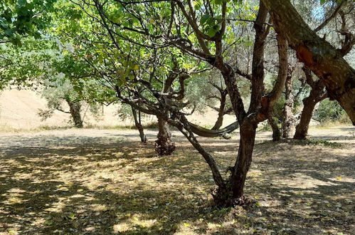 Foto 19 - Glamping at an Agriturismo in the Vineyard