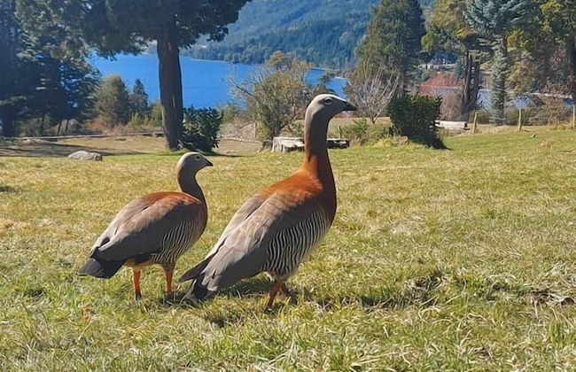 Casa del Lago - Foto 47