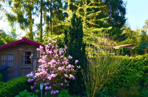 Foto 1 - Welcoming Chalet in Garderen With Garden