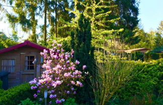 Foto 1 - Welcoming Chalet in Garderen With Garden