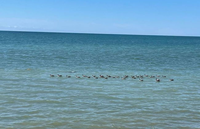 Waterfront W Private Lake Access Indoor Fireplace - Photo 21