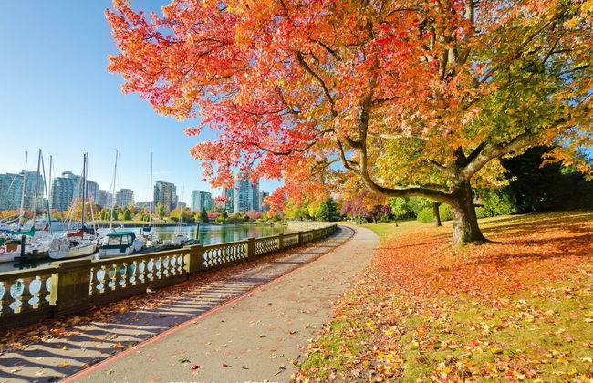 Lovely Oasis near Waterfront & Downtown - Foto 49