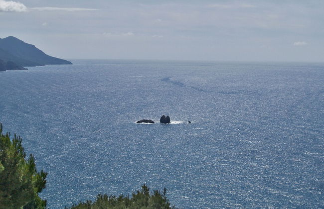 Studio Apartment With Adult and Children's Pool and sea View - Pelekas Beach - Foto 14