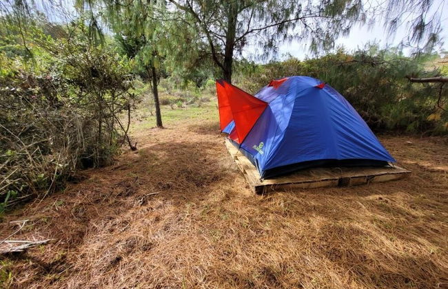 Glamping Paraiso de Tausa - Foto 47