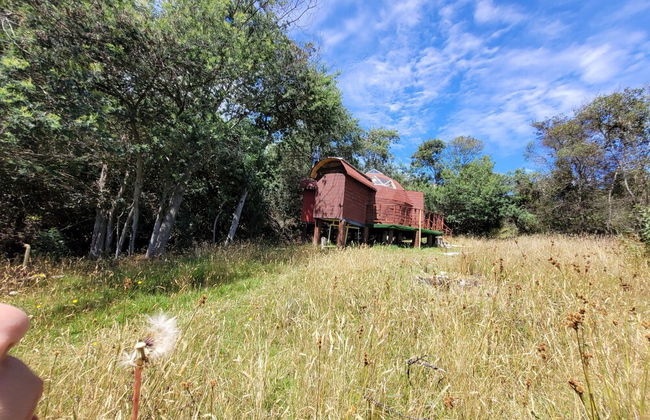 Glamping Paraiso de Tausa - Foto 64