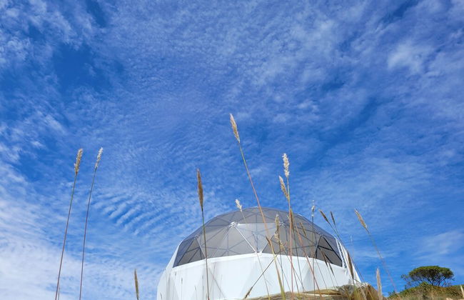 Glamping Paraiso de Tausa - Foto 49