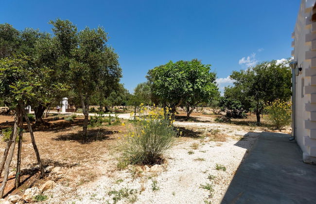 2670 Trullo Corni di Fiasco by Barbarhouse - Foto 32