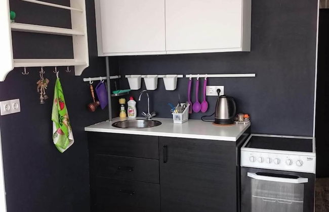 Apartment on Lysaya Gora 33g Green Area 6 - Foto 8