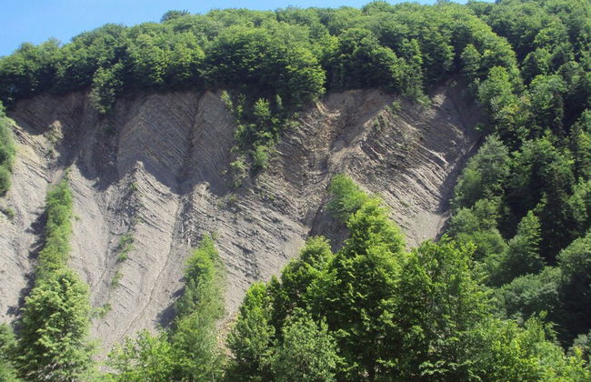 Barvy Skeli - Photo 29