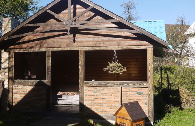 Barvy Skeli - Photo 25