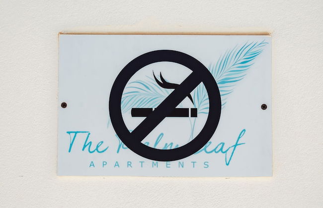 The Palm Leaf Apartments - Photo 53
