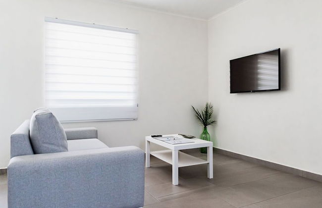 The Palm Leaf Apartments - Photo 13