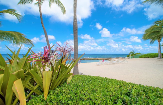 On The Bay - Foto 57