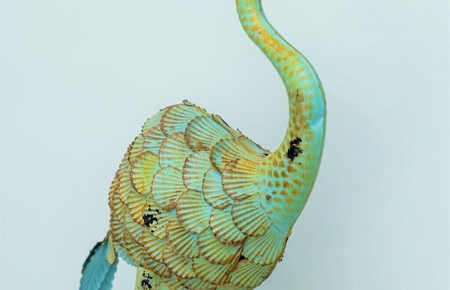 On The Bay - Foto 27