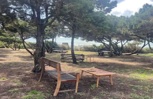 Meridium Apartments & Beach Club - Foto 23