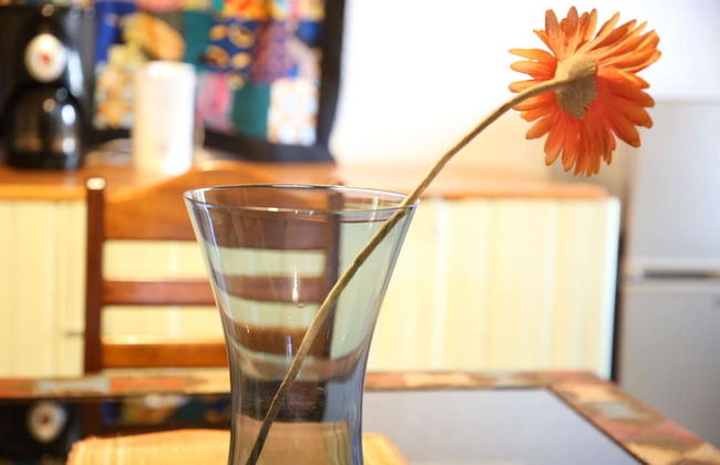 Tea House BnB Apartment - Photo 8