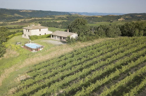 Photo 1 - Tenuta di Corbara