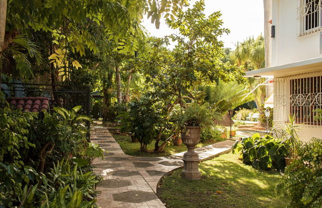 Holiday rental in Havana with garden - Foto 26