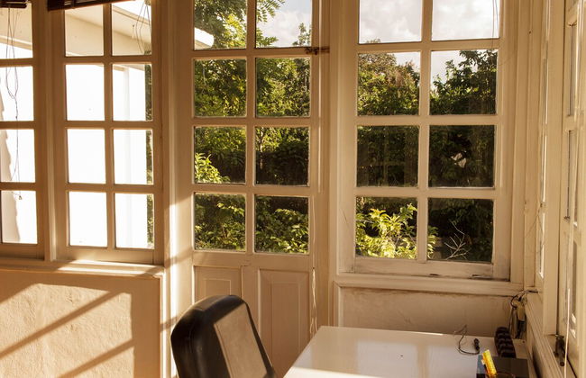 Holiday rental in Havana with garden - Foto 21