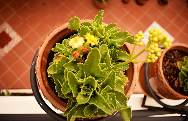 Casa San Martín - Photo 11