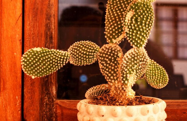 Casa San Martín - Photo 9