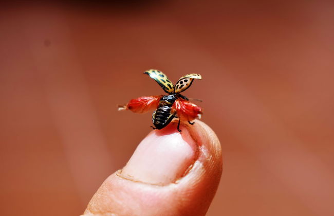 Casa San Martín - Photo 10