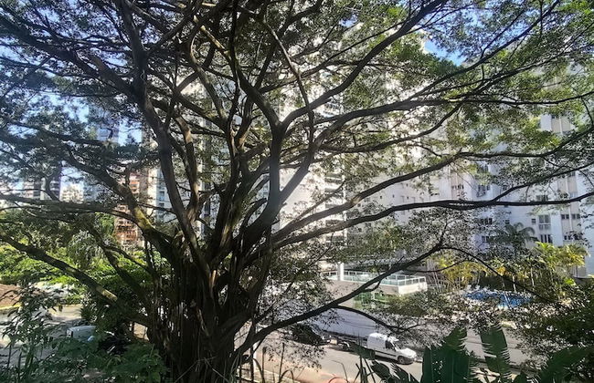 Pé na areia do Guarujá - Praia do Tombo (5-E) - Foto 80