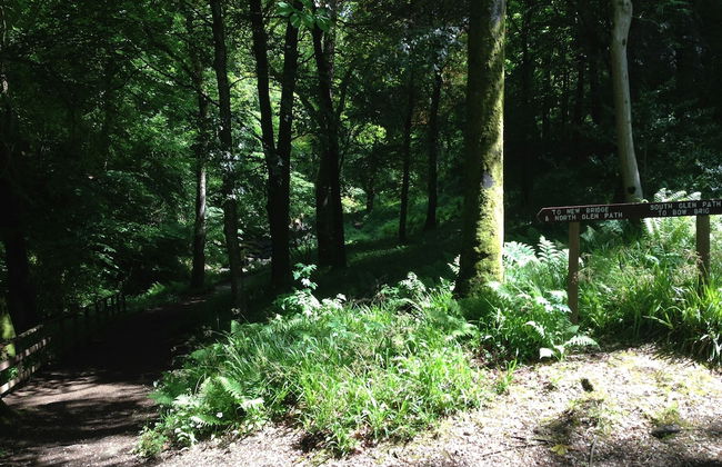 Stunning Premium Yurt in Kelburn Estate Near Largs - Photo 19