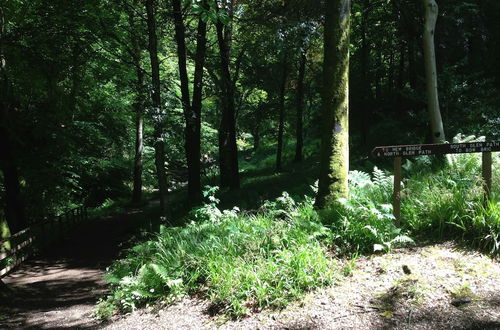 Foto 19 - Stunning Premium Yurt in Kelburn Estate Near Largs